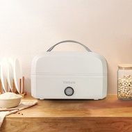 Portable plug-in lunch box (electric cagebag) TheSuns FH3 1L