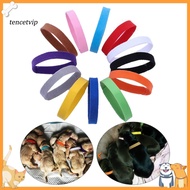 12Pcs/Set Pet Dog Cat Identification Collar Adjustable Id Collar Mark Neck Strap