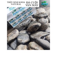 Rattan Pebbles, Set Up Design to Decorate Aquarium Layouts, Super Beautiful Selected Aquatic Product