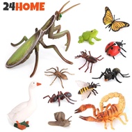 24HOME Educational Life Cycle Toys Realistic Animal Models Collection Insect Frog Spider Ducks Geese