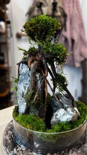 微景觀森林苔蘚生態瓶-室內植物免打理悶養