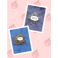 Gold SILVER PENTUL NAILS PER 9 GRAM