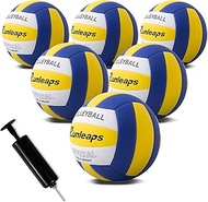 Runleaps 6 Pack Volleyballs, Waterproof Indoor Outdoor Volleyball for Beach Game Gym Training with P