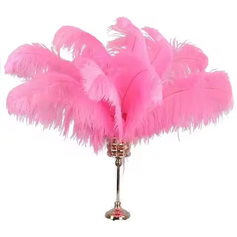 Pink Ostrich Feather Decor 15-70cm/6-28" Large Ostrich Feathers Vase Hats Decoration Table Centerpie