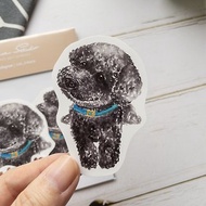 寵物貼紙-貴賓狗 黑貴賓5入水彩貼紙組 珠光防水貼紙