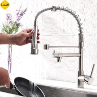 Contemporary Spring Kitchen Sink Faucet with Pull Down Sprayer Kitchen Sink Tap with Filter