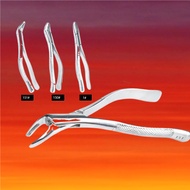 Dental Adult Stainless Steel Tooth Extraction Forceps Dentist Surgery Tooth Extraction Instrument De