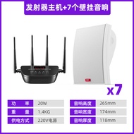 Patriot Wall-Mounted Speaker Wireless Bluetooth Shop-Specific Speaker Restaurant Wall-Mounted Commer