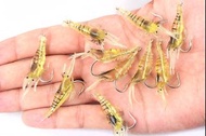 fishing soft shrimp balt lures 10pcs$35 腥味仿真草蝦仿生假蝦10隻盒裝 5cm 1.4g 淡水路亞魚餌軟餌