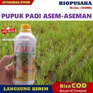 BIO PUSAKA 500ML Pupuk Anti Asem-Aseman Padi Paling Manjur Obat Pelebat Padi Anti Penyakit Hama Virus Asem-Aseman Padi Mujarab Pupuk Pembasmi Asem-aseman Padi Pupuk Organik Cair Semprot Anti Asem-Aseman Padi Terbaik MURAH TERLARIS Bisa COD