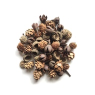 *READY STOCK* Zakka Natural Rustic - Dried Fruit Pinecone Acorn Christmas Decoration Candle Hallowee