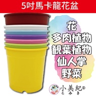 [Xiaomeiji] 5 inch Pot (Gardening Supplies) 6 inch Pot 17cm Flower Pot 17cm Pot Cultivation Pot Maca
