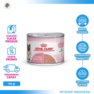 Royal Canin Mother & Babycat Instinctive Loaf 195g – Wet Food for Pregnant, Breastfeeding and Kitten