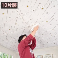 Ceiling and Wall Sticker Renovation20253D New Self-Adhesive Ceiling Sticker Shed3D Roof Ceiling WRDP