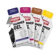 Hammer Nutrion Energy Supplement Gel