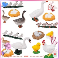 LY Animals Growth Cycle Early Education Life Cycle Chicken Dragonfly Model
