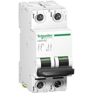 MCB C60H-DC MCB DC 2P 25A 32A 40A 50A 63A Schneider Original - 25A
