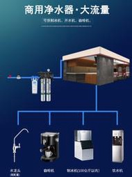 飲水機愛惠浦MC2雙聯凈水器 商用奶茶咖啡店專用大流量復合直飲水機過濾