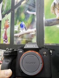 Sony A1 ILCE-1 BODY 最佳配搭 16-35mm 24-70mm 70-200mm 100-400mm 200-600mm