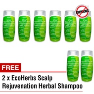 💥💖BUY 6 FREE 2💖💥 EcoHerbs Herbal Shampoo To Stop Hair Loss, Oily Scalp, Lice Problem, Fresh/Health Hair, Hair Regrowth