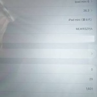 Apple iPad mini 6 (256GB) 港行 粉色 WIFI