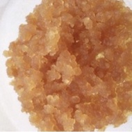 Water Kefir Grains 25g