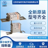 DN00UB69V100L E330238   DN00UB69V125L F330239 Roland Fuse