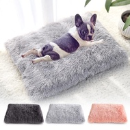 Cat Bed/ Cat Bed Cat Bed 1 Set Cat Pillow/ Cat Bed/ Cat Bed Cat Bed Cat Bed/ Cat Bed Cat and Animal 