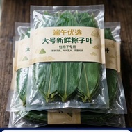 Large Fresh Dumpling Leaves Deep Mountain Picking Sun-dried No Additives Clean No Impurities Dragon 