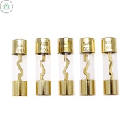 GD 1 Pcs 30A / 50A / 60A / 80A / 100A Car Audio Power Amplifier Glass AGU Nickel Plated Fuse