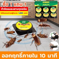 ผงเหยื่อฆ่า กำจัดแมลงสาบ ผลิตภัณฑ์กำจัดแมลง ไล่แมลงสาบ ตายยกรัง ฆ่ายกรัง ฆ่าแมลงสาบ