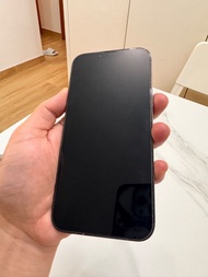 Iphone 13 pro max 1TB