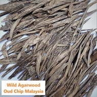 Kayu Gaharu Hutan Malaysia Bakhoor Oud Natural |沉香 Agarwood Chip Arabian Incense 10g