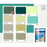 MESA-SHEILD (Colourland Colour) Outdoor Paint, Cat Luar, 5L - GREEN/BROWN