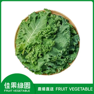 全城熱賣 - 新鮮羽衣甘藍150-200g 口感脆嫩 清新爽口