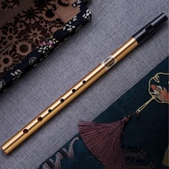 HARRIETT Irish Whistle Flute, D Key 6 Hole Ireland Flute, Musical Accessories Musical Instrument Pro