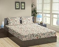 Trance Home Linen 144TC 100% Cotton 75"x48" Twin Bed Size Elastic Fitted Bedsheet | Printed Twin Siz