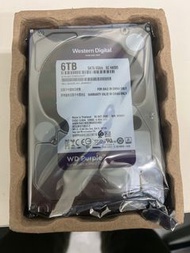 Western Digital Purple 6TB 硬碟