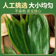 Fresh Rice Rice Rice Rice Rice Dumpling Leaves 100 Pieces Fresh Free Shipping Rice Dumpling Leaves B