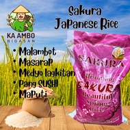 SAKURA JAPANESE RICE 25KG
