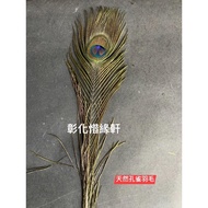 {Changhua Xiyuanxuan} Natural Peacock Feather/Feather/Peacock/Peacock Feather