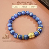 Jade Dan Tam - Kyanite Bracelet 9mm 4A Mixed Charm Lu Thong Pi Xiu - Water Element & Wood Element