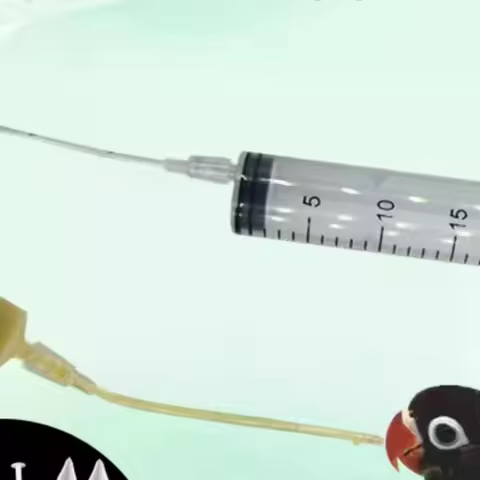 9/10Pcs Parrot Bird Feeding Dropper Hose Small Pet Feeder Needle Tube Liquid Injection Hose Spoon Ki