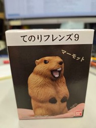 掌上動物 土撥鼠 公仔 擺件 BANDAI Tenori Friends