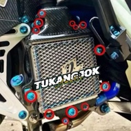 (Set of 13/ 12 Bolts) Titanium Radiator Bearing + Radiator Cover Vario 125 150 Radiator Bolt Vario 1