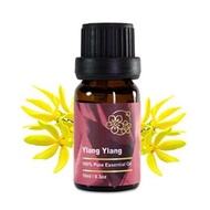 Amour 精油 - Ylang Ylang Essential Oil - 依蘭依蘭 10ml - 100% Pure