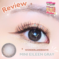🔥คอนแทคเลนส์🔥 ✨ขนาดมินิ✨ Brown/Gray ขนาด Mini รุ่น Eileen (kittykawaii)