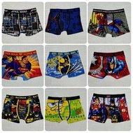 Character Boxer Brief For Adult Men's Boxees Shorts Printed