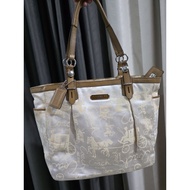 C0ACH HORSE AND CARRIAGE