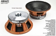 PROMO- SPEAKER 12 INCH ASHLEY F1 12 VC4